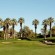 palm-trees-posted-on-manufactured-home-living-news