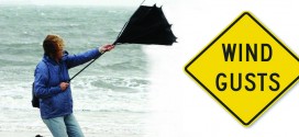 disaster-safety-org-image-credit-wind-graphic_IBHS-