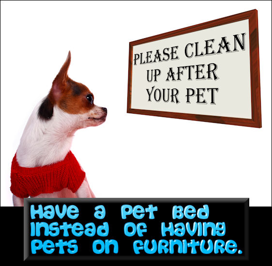 PetBedVsAllowingPetsOnFurnitureMHLivingNewsManufacturedHomeLivingNews