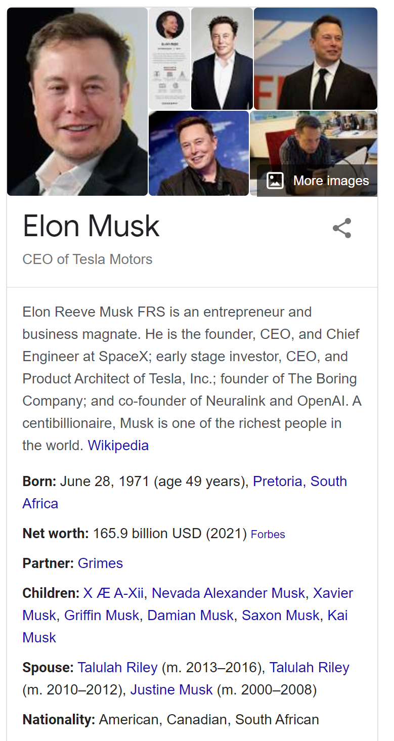 ElonMuskTeslaCEOSpaceXBoringCompanyWIKI-MHLivingNews